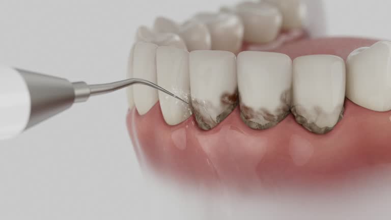 Reliable Dental contractor in Kennedy, CA by Dentist Open Now